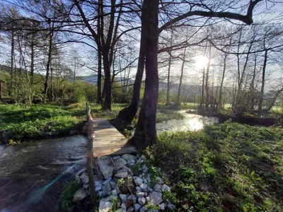 Walkway by the stream